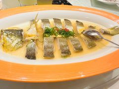 -金美华轩(东方路齐鲁店)