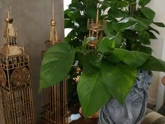 -manabe (共和新路店)