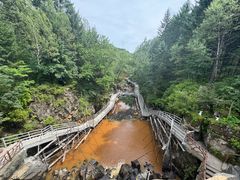 -茅兰沟国家森林公园