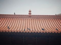 -宝通禅寺