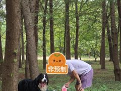 -上海海湾国家森林公园