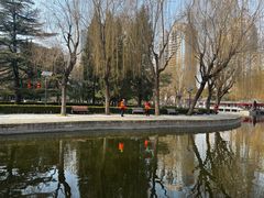 -团结湖公园