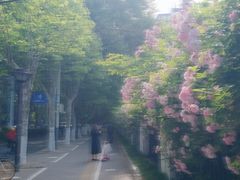 -南京航空航天大学(明故宫校区)
