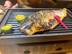 盐烤挪威青花鱼-渔寿司·日本料理(艾尚天地店)