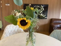 点击看大图 -海豚湾高端月子会所(黄浦店)