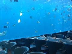 -瑞德姆美人鱼海底演艺主题餐厅(亚龙湾店)