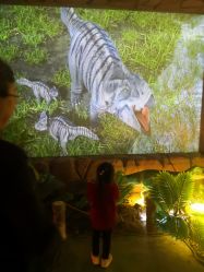 -恐龙探索乐园(磁器口店)