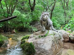 -玉渡山自然风景区