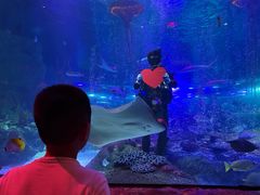 -沈阳海洋探索中心