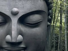 -杭州植物园