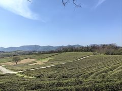 -宜兴龙背山森林公园
