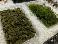 -Isla Sugbu Seafood City