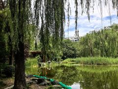 -木塔寺遗址生态公园