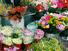 -无锡文化工艺品市场(槐古路店)