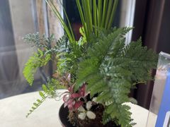 -洛阳宴·洛阳菜(南昌路店)