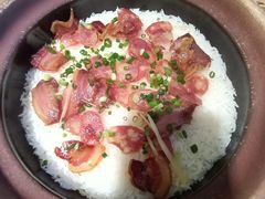 -鸽小宝(深圳首店)