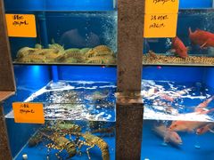 水产区-宁波状元楼酒店(和义路店)