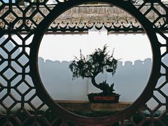 -上海醉白池公园