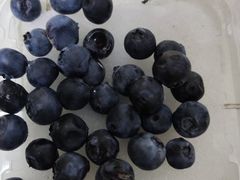 -金宝生活市场(东五环店)