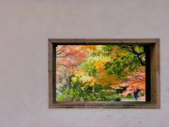 -秋霞圃