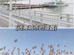 -莲花岛景区