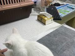 -天宠宠物医院24小时·急重症诊疗中心·全科·腔镜特色(和平分院)