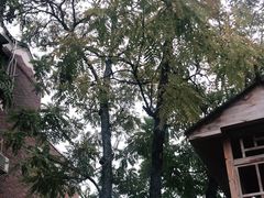 -上甘棠村