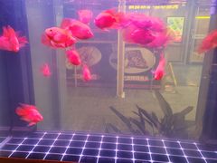 -火塘云南烧烤大排档