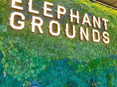 -大象园ELEPHANT GROUNDS(万象天地店)