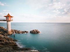 -小麦岛公园