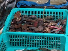 -霞涌市场海鲜摆卖区
