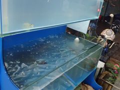 -廣味潮鲜·一品潮滋味(五道口店)