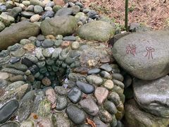 -都江堰中华大熊猫苑