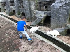-栾川竹海野生动物园