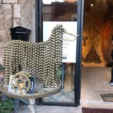 在以色列欣赏艺术