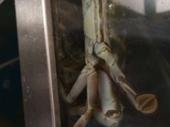 -宾朋海鲜特色美食餐厅·纯手工鲅鱼水饺(兴海路店)