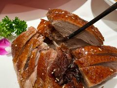 -茅庐毛血旺(济南印象城店)