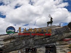 -香格里拉唐卡画院