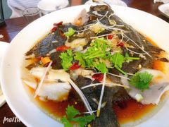 -启博美食城(孟家店)