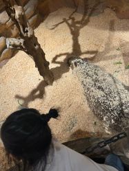 -造物庄园 萌宠纪(苏州湾歌林公园店)