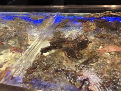 -诱货海鲜自助火锅(爱琴海购物公园东百店)