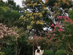 -杭州城北体育公园