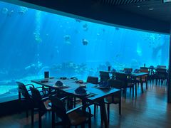 -涛·海底餐厅·美人鱼·自助餐·海底隧道(三亚海棠湾洲际度假酒店)