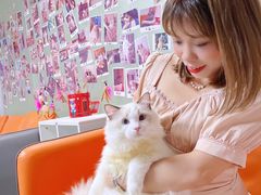 -lincat·猫舍(广州店)