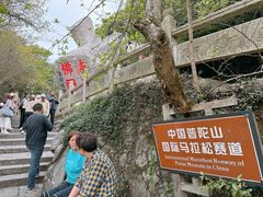 -普陀山风景区-佛顶山