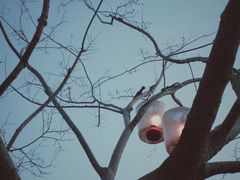 -水墨澜渟足道·SPA·传统(四望亭东关街店)