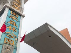 -日照海滨国家森林公园
