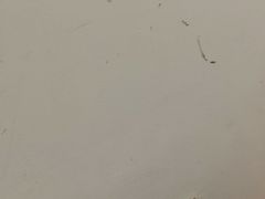 -黄氏壹品汇•水牛奶甜品(全国总店)
