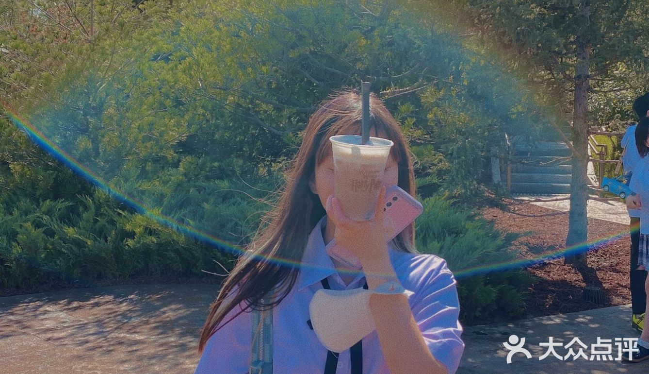 环球的一天