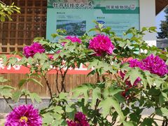 -国家植物园南园